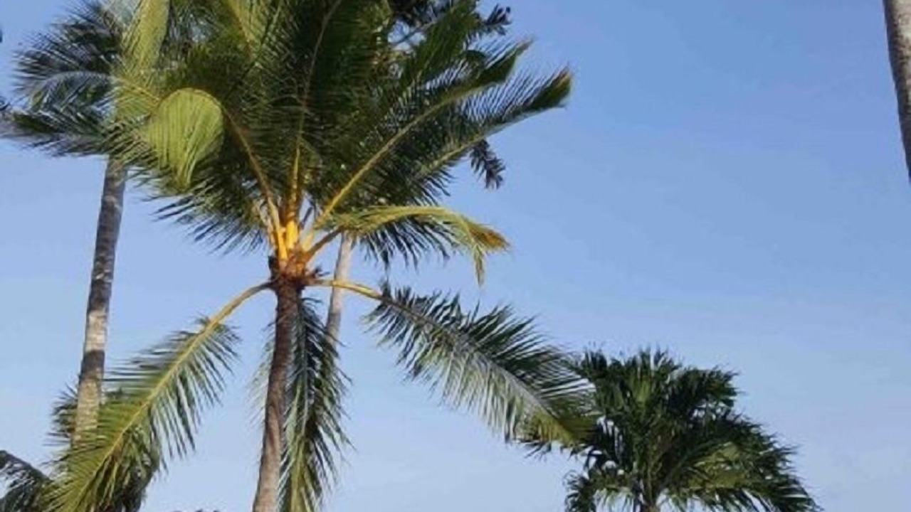 Photo of Outdoor in Sengkidu