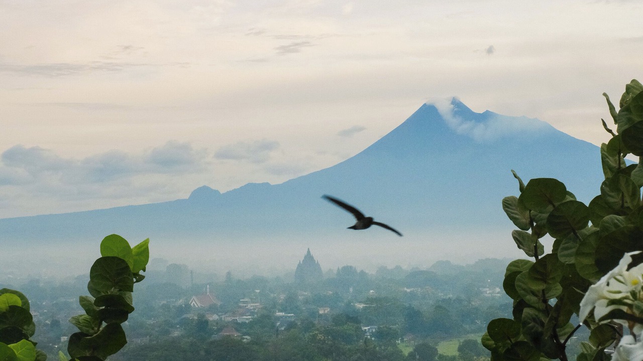 Photo of Outdoor in Prambanan