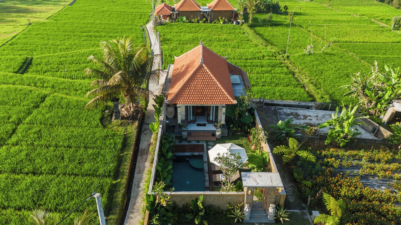Photo of Outdoor in Sebatu