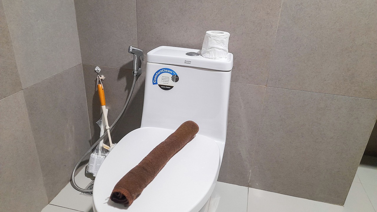 Photo of Bathroom in Mlati