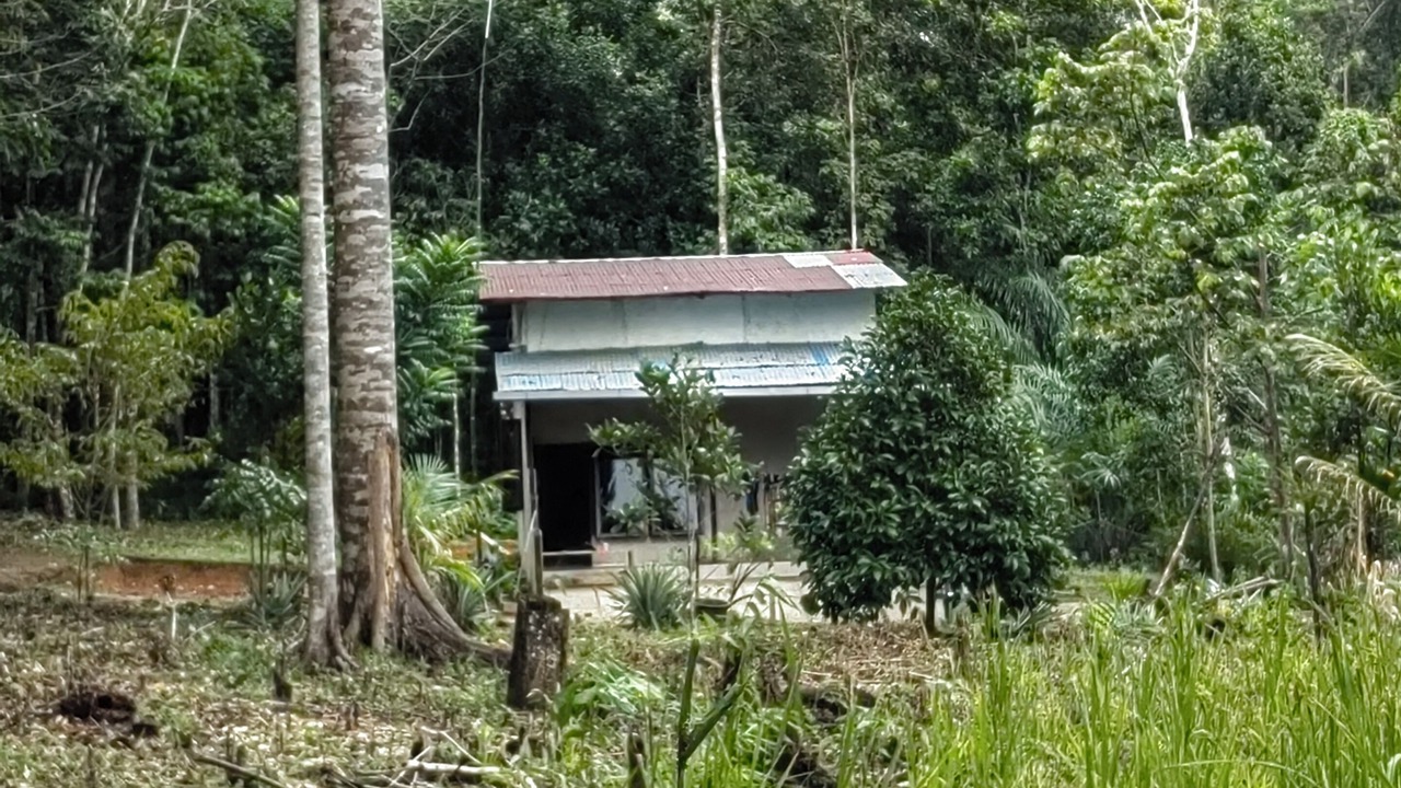 Photo of Outdoor in Ketapang