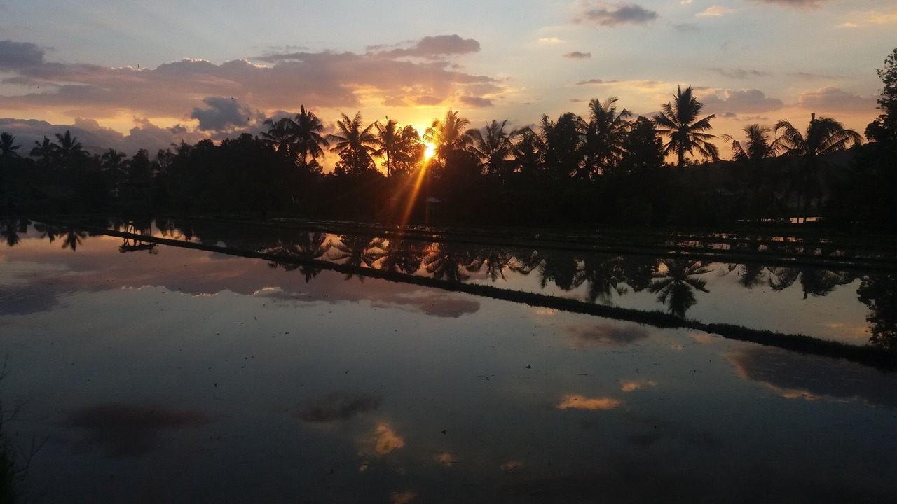 Photo of Others in Munduk