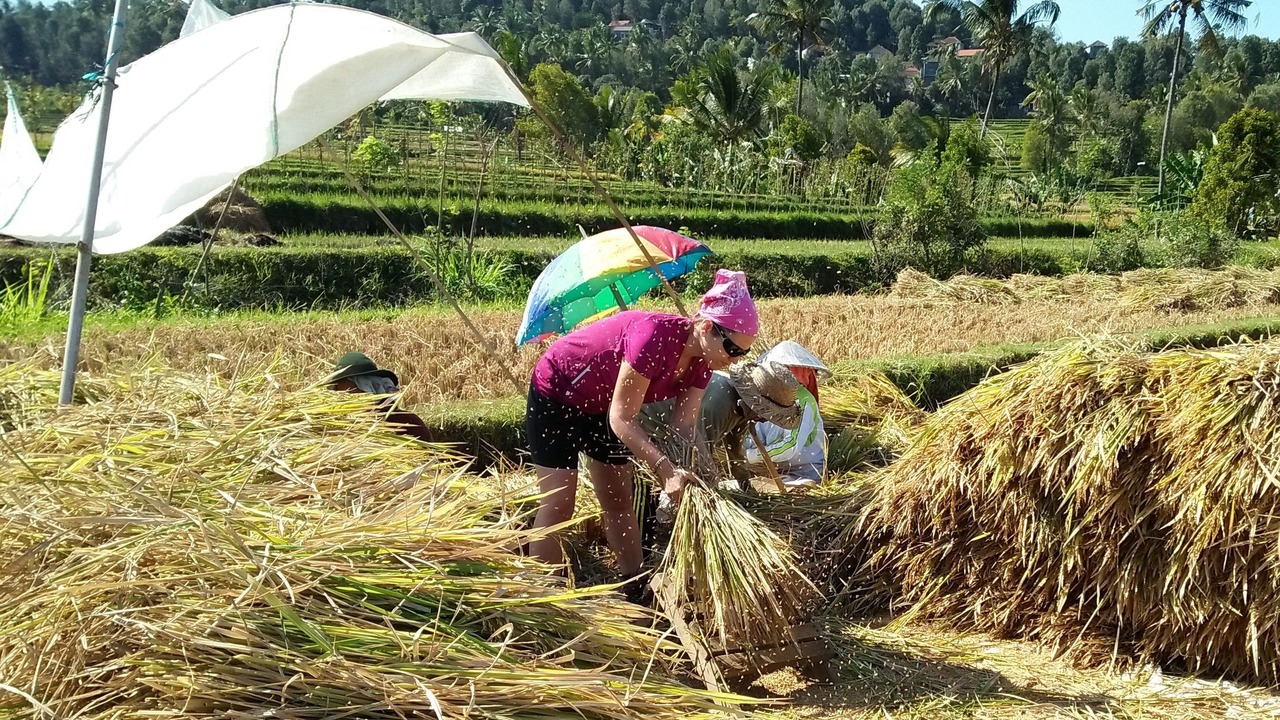 Photo of Others in Munduk