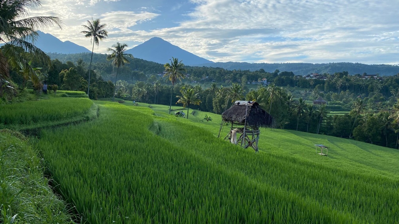 Photo of Outdoor in Munduk