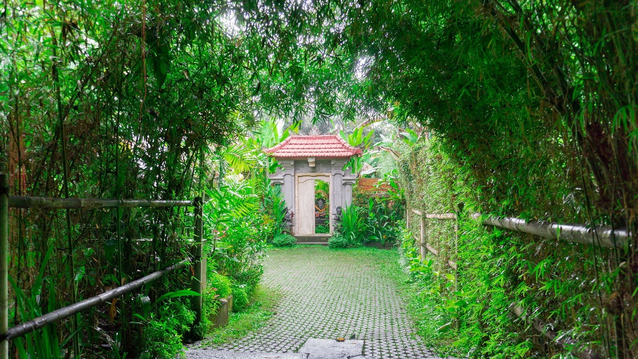 Photo of Outdoor in Sebatu