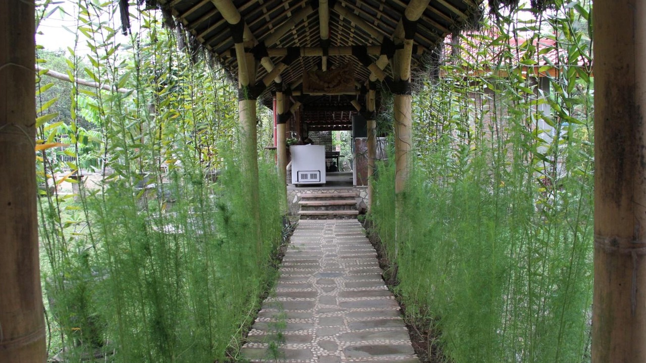 Photo of Outdoor in Mendut
