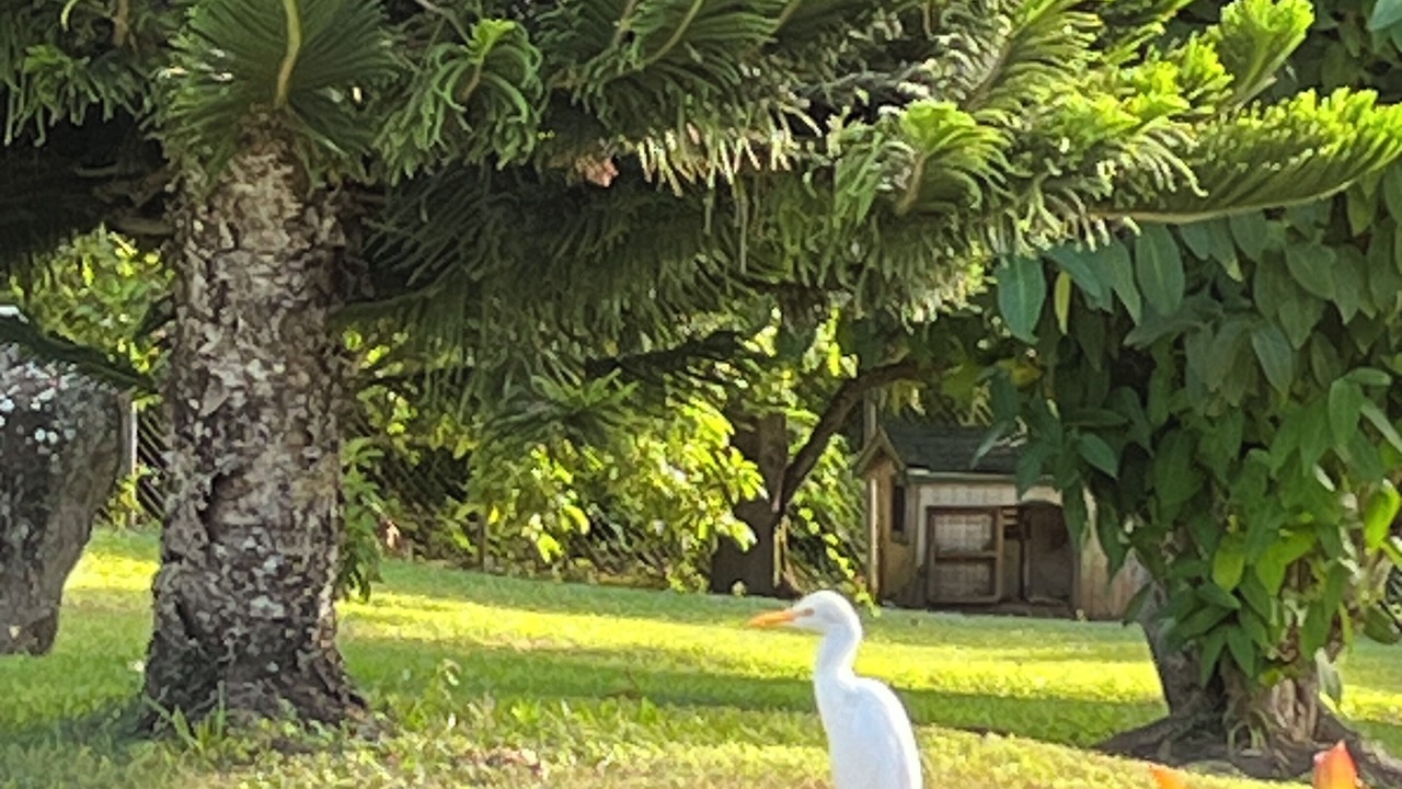 Photo of Outdoor in Pond Hill