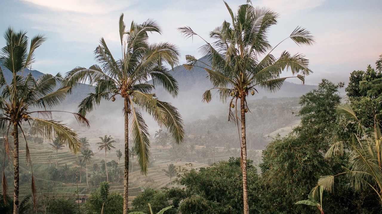 Photo of Outdoor in Kutuh