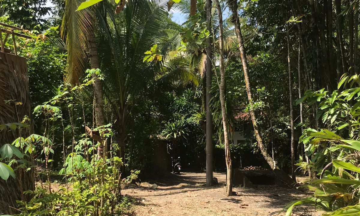Photo of Outdoor in Cijulang