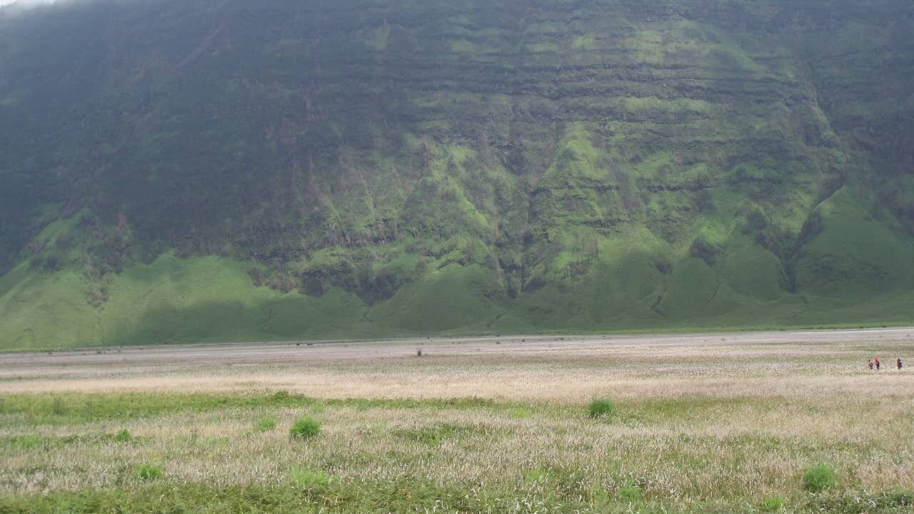 Photo of Outdoor in Ngadisari