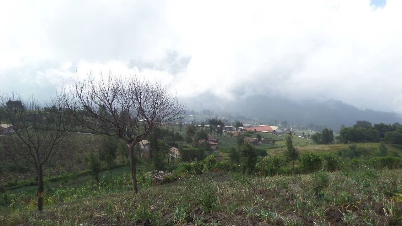 Photo of Outdoor in Ngadisari