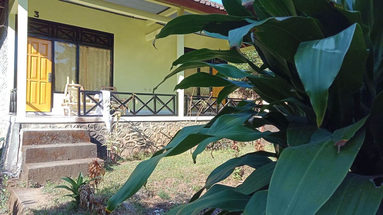 Photo of Outdoor in Bayan