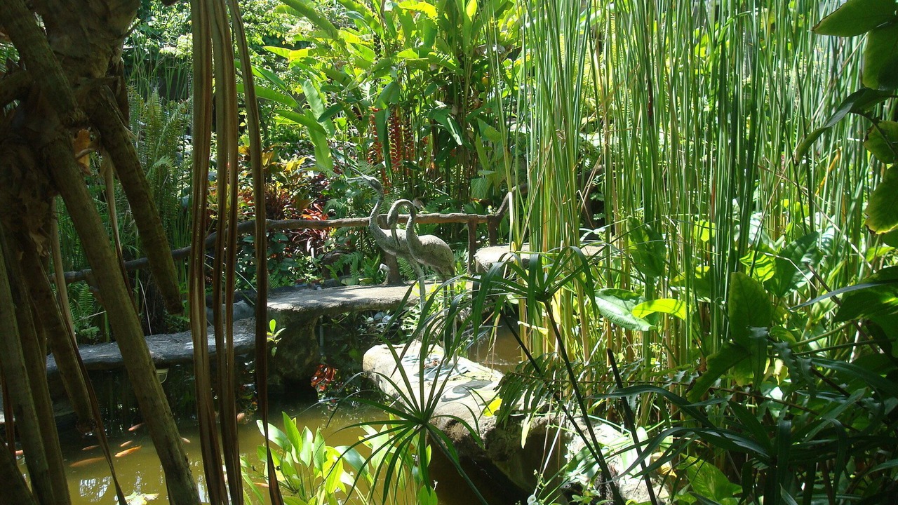 Photo of Outdoor in Seraya Barat