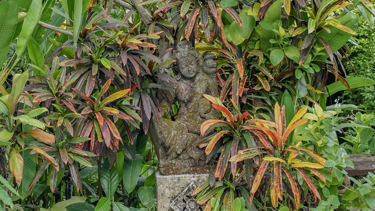 Photo of Outdoor in Dyanapura