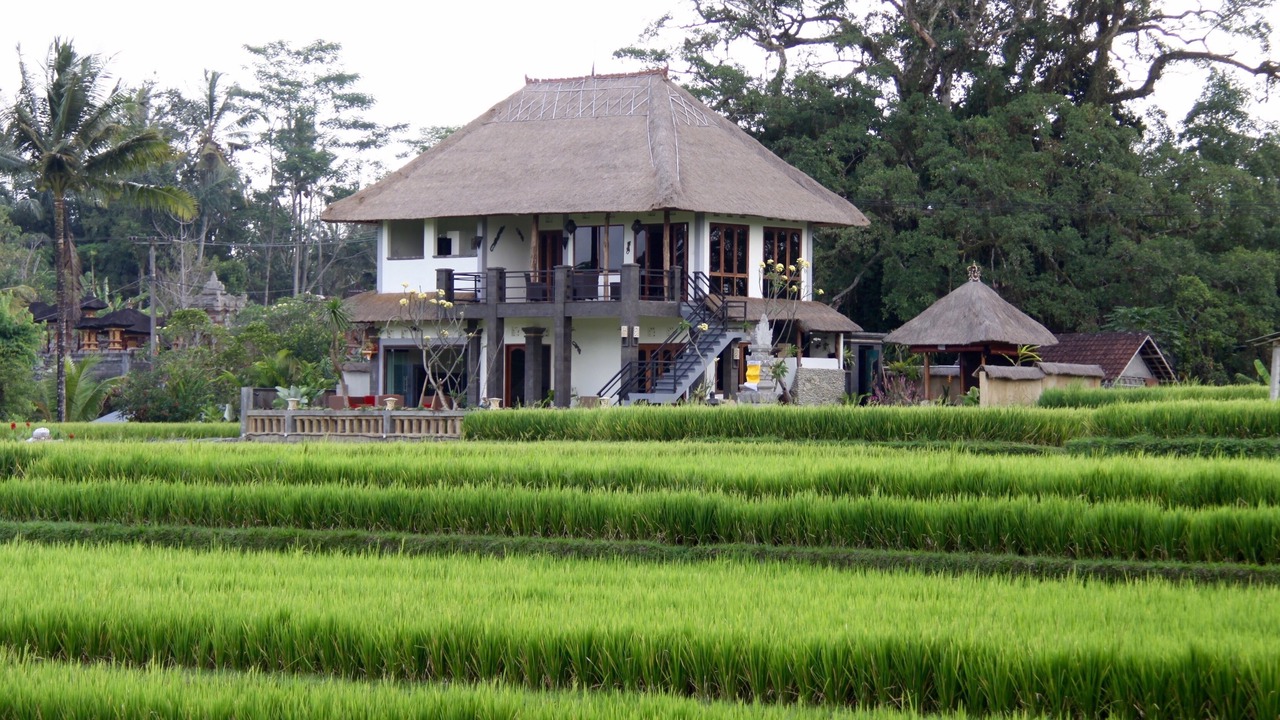 Photo of Outdoor in Kelusa