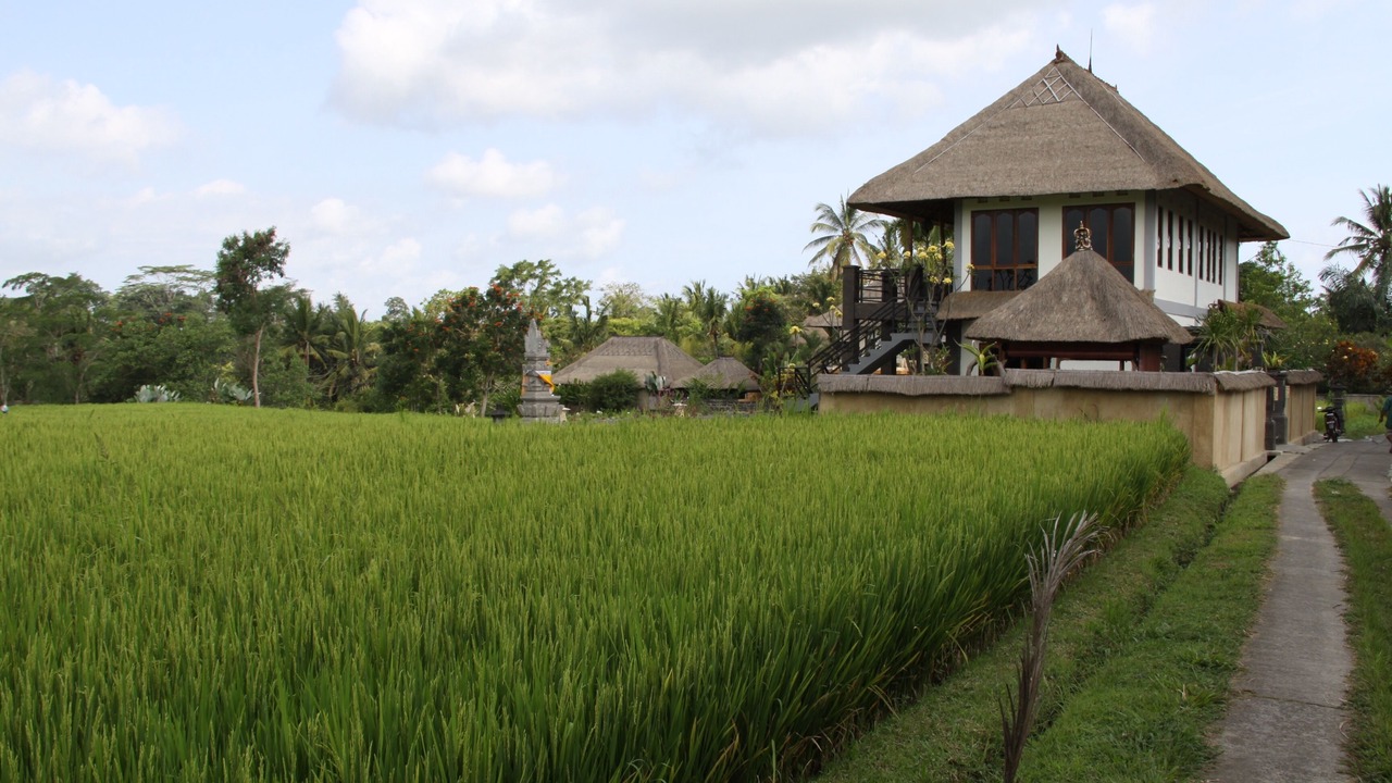 Photo of Outdoor in Kelusa