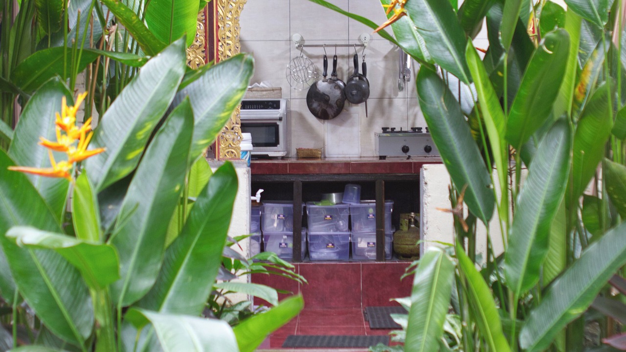 Photo of Outdoor in Peliatan