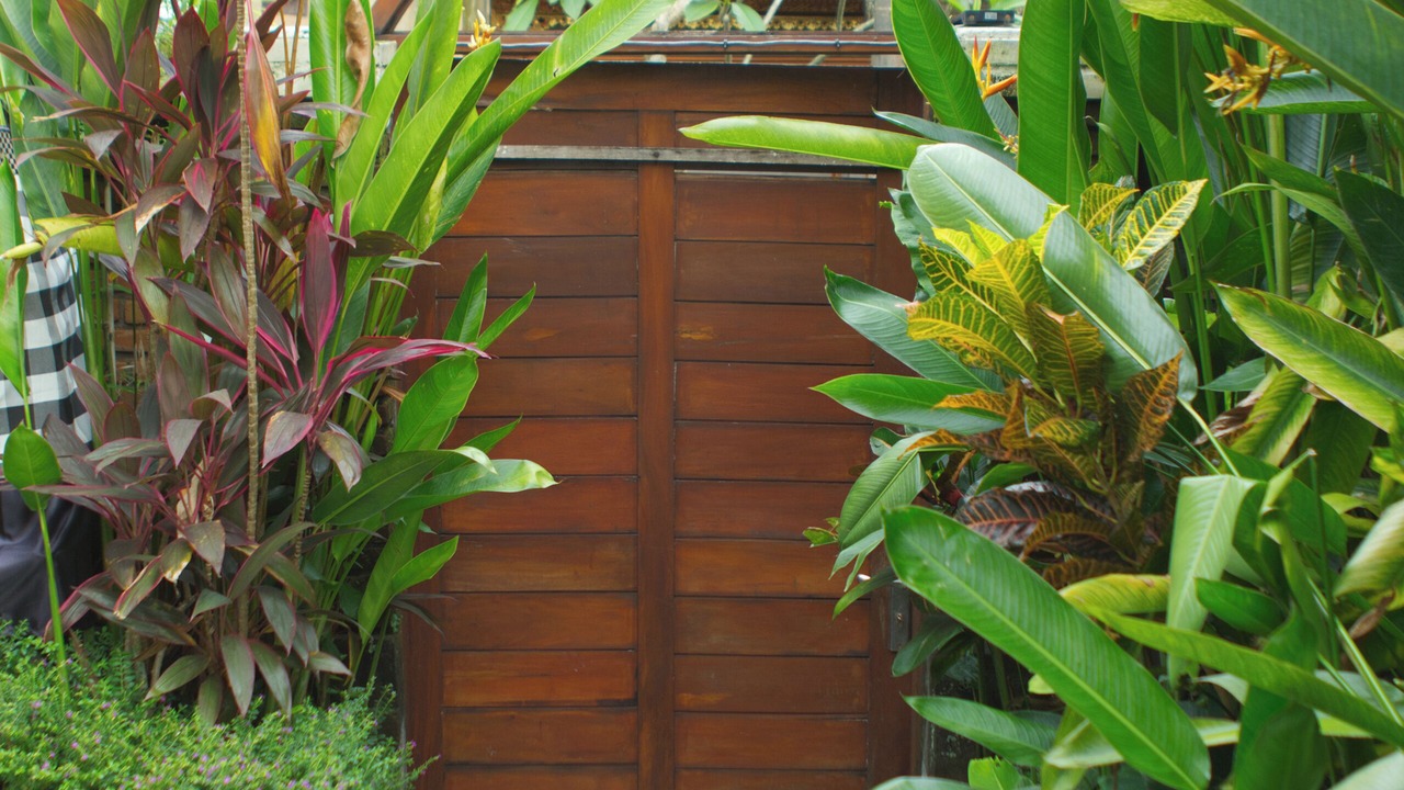 Photo of Outdoor in Peliatan
