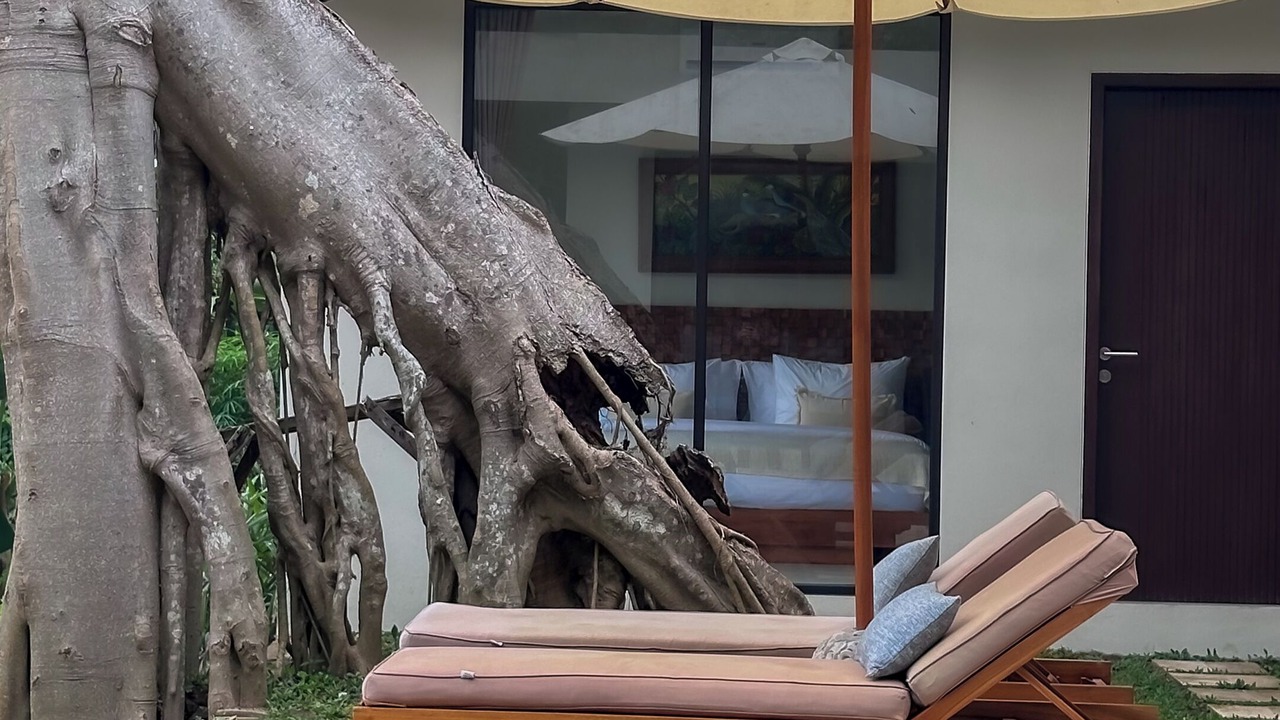 Photo of Outdoor in Singapadu Tengah