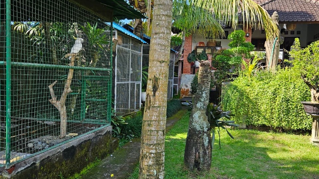 Photo of Outdoor in Sukasada