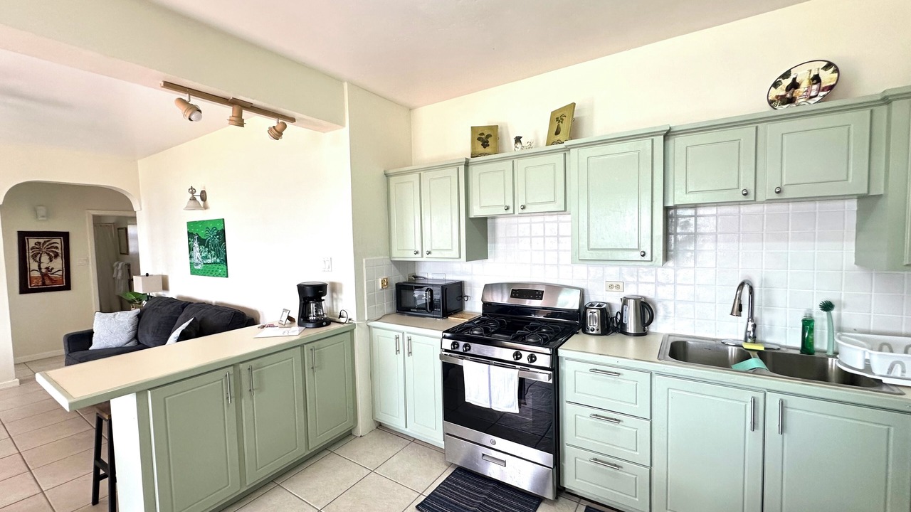 Photo of Kitchen in Frigate Bay