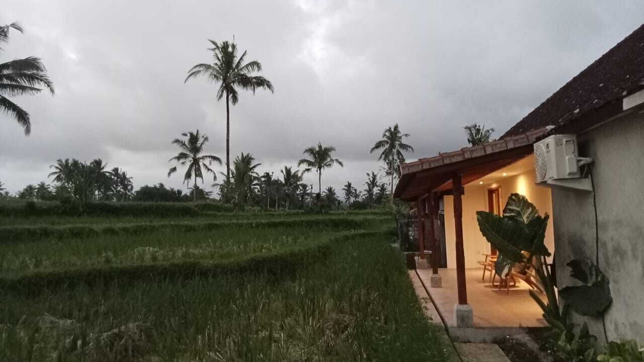 Photo of Outdoor in Tegallalang