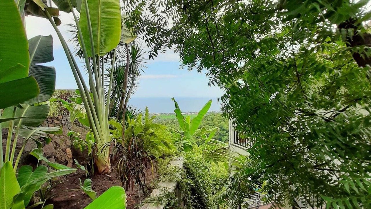 Photo of Outdoor in Cempaga