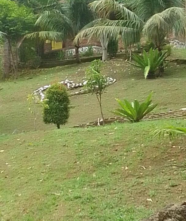 Photo of Others in Bohorok