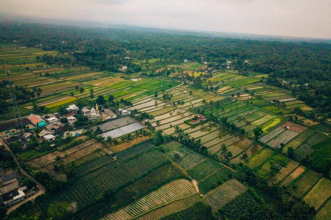 Photo of Others in Tetebatu