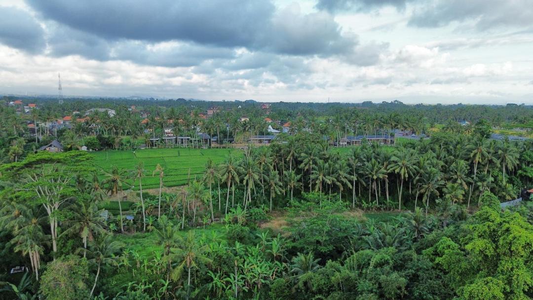 Photo of Others in Pengosekan