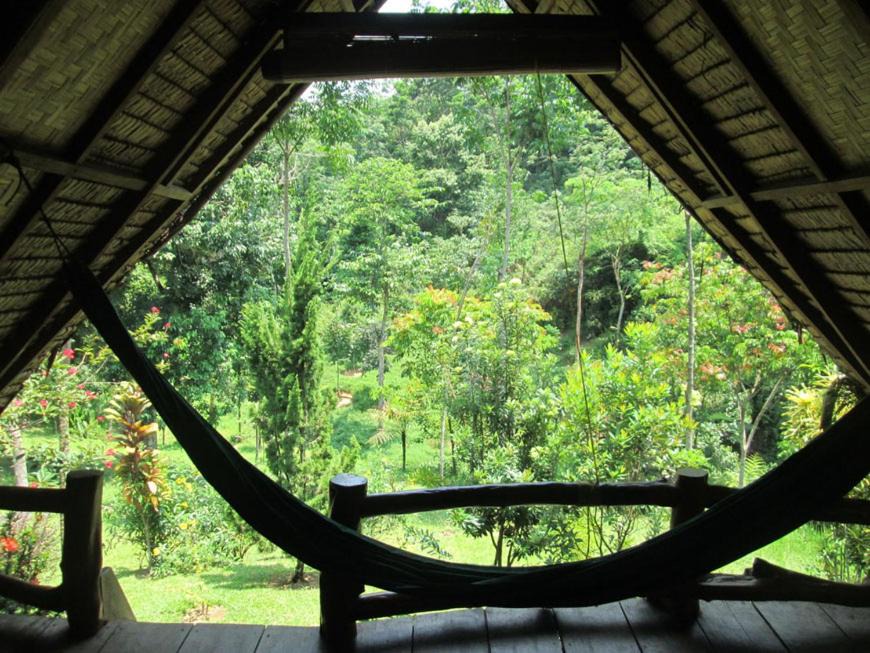 Photo of Others in Bukit Lawang