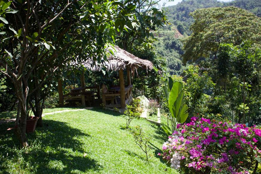 Photo of Others in Bukit Lawang