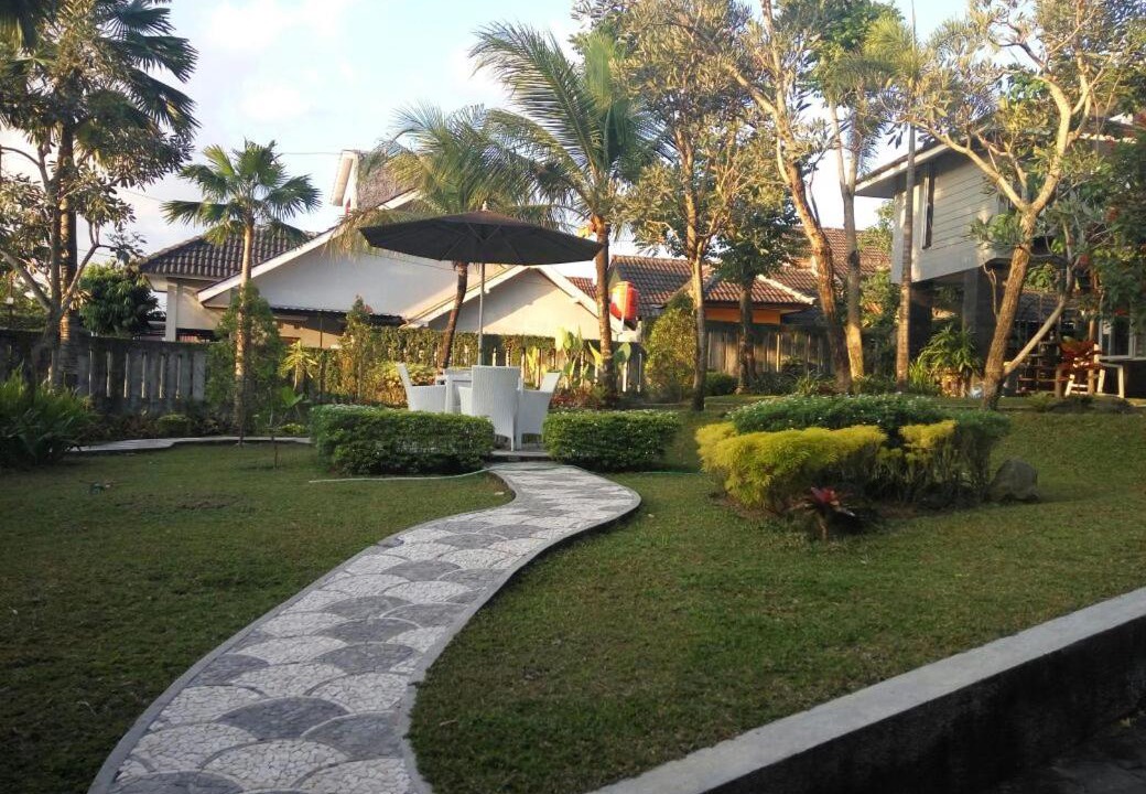 Photo of Buildings in Mlati