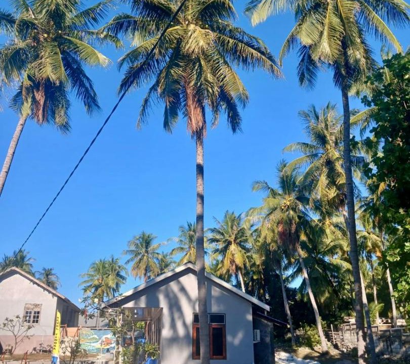 Photo of Others in Rote Island