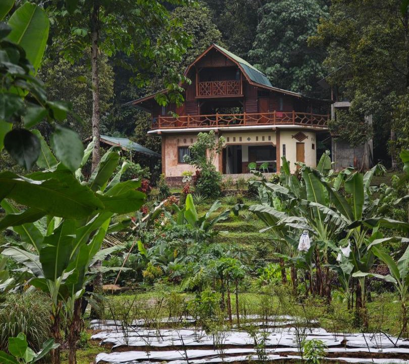 Photo of Others in Bohorok