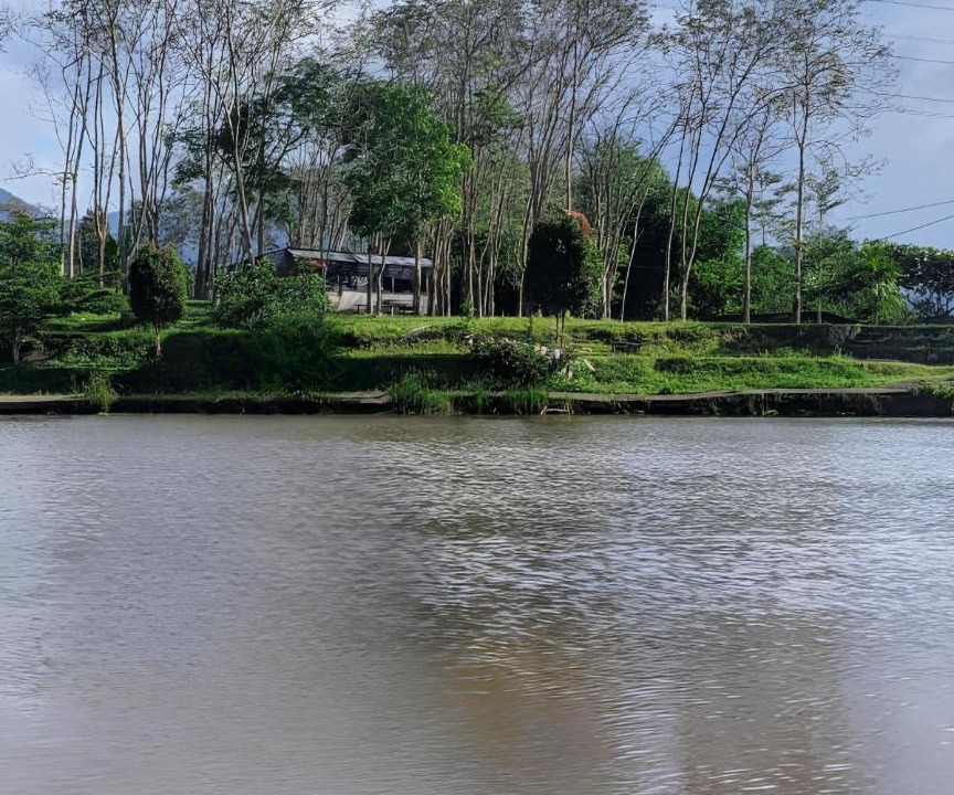 Photo of Others in Padang