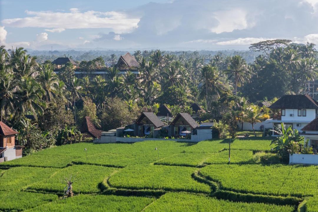 Photo of Others in Tegallalang