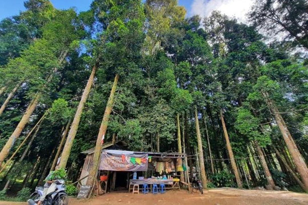 Photo of Others in Pasirjambu