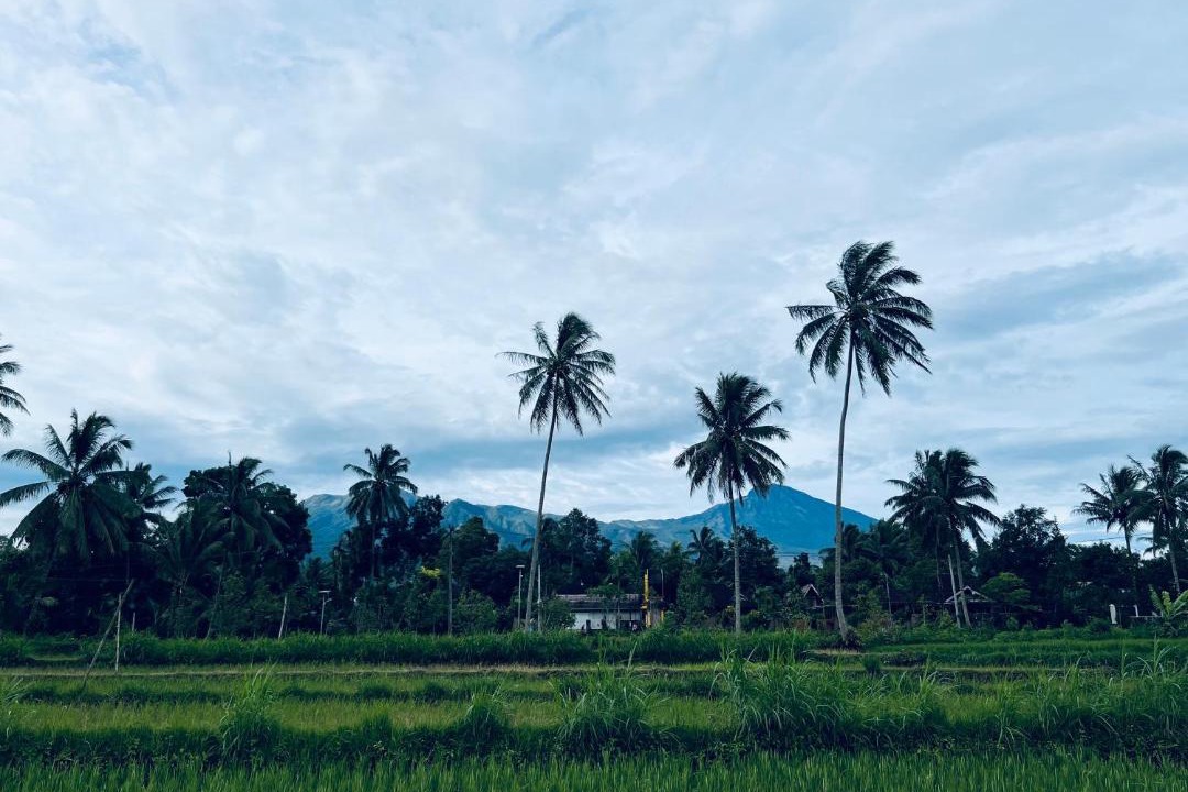 Photo of Others in Tetebatu