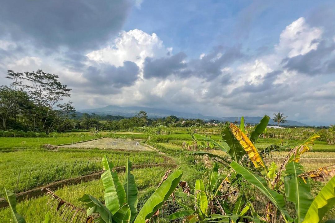 Photo of Others in Wonosobo