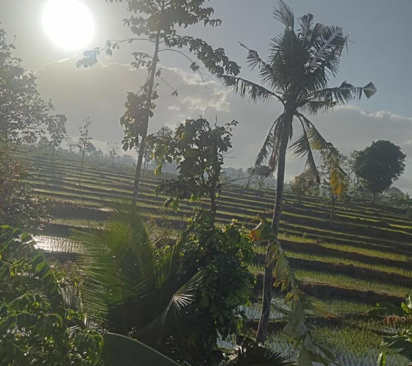 Photo of Others in Kecamatan Praya Barat Daya
