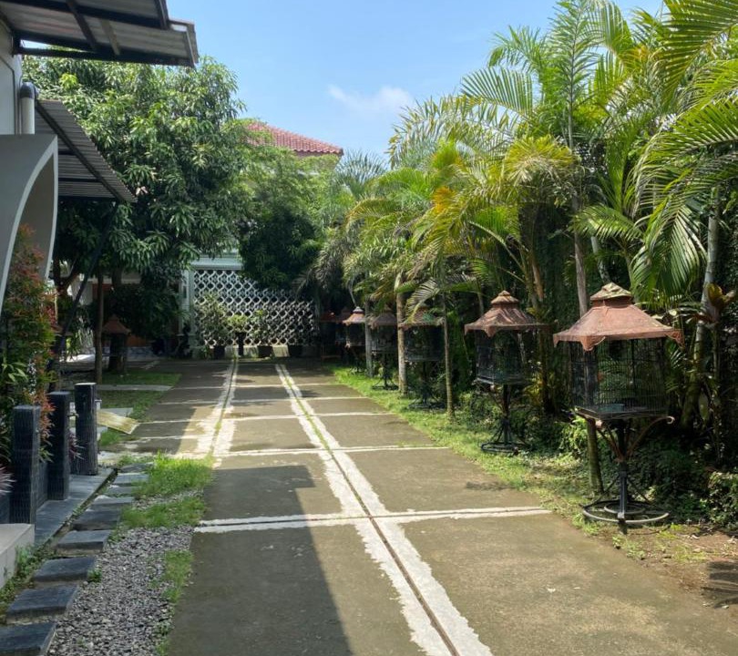 Photo of Outdoor in Prambanan