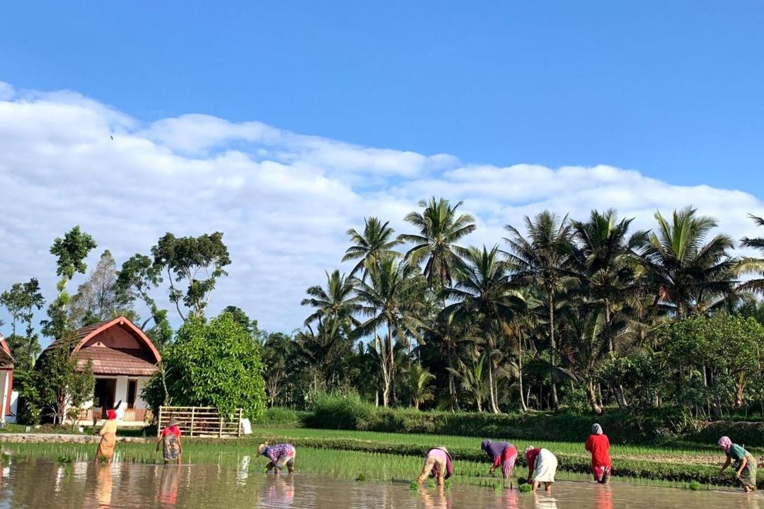 Photo of Others in Tetebatu