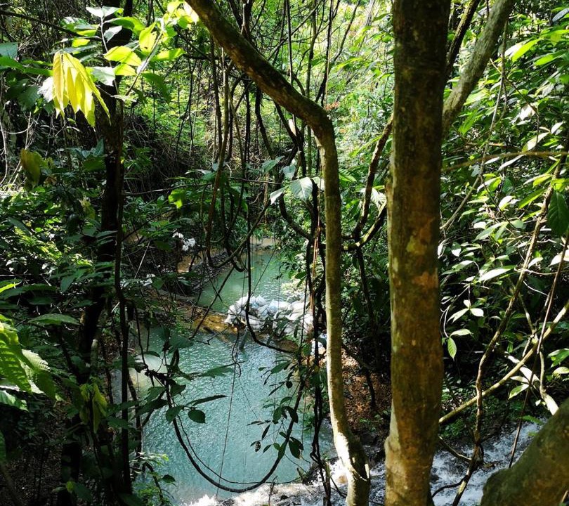 Photo of Others in Bukit Lawang