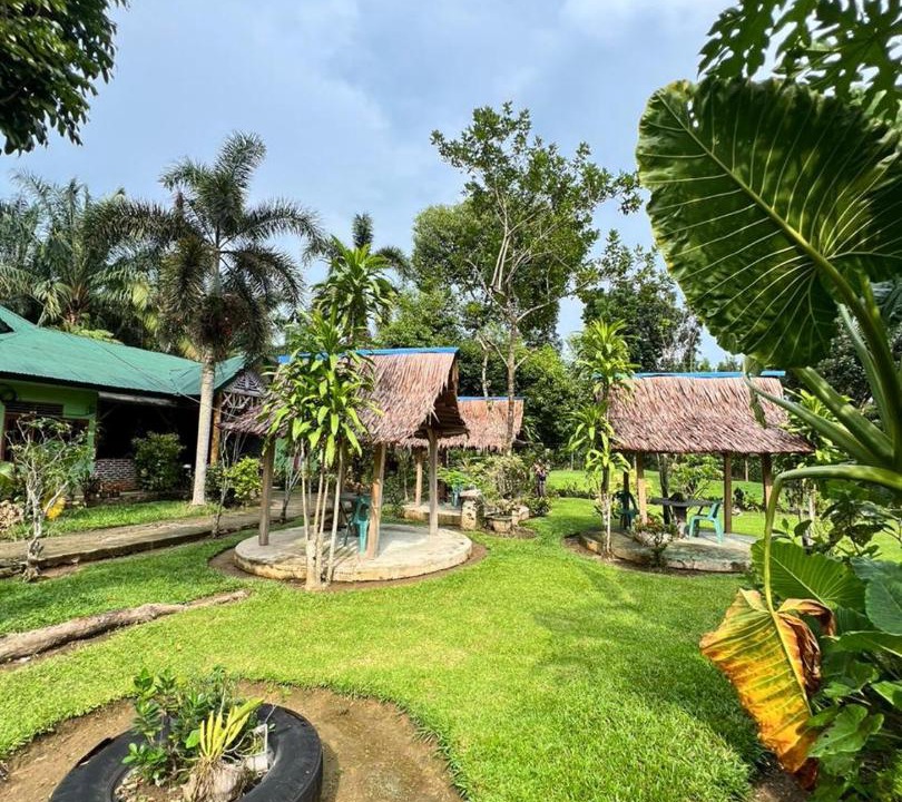 Photo of Others in Bohorok