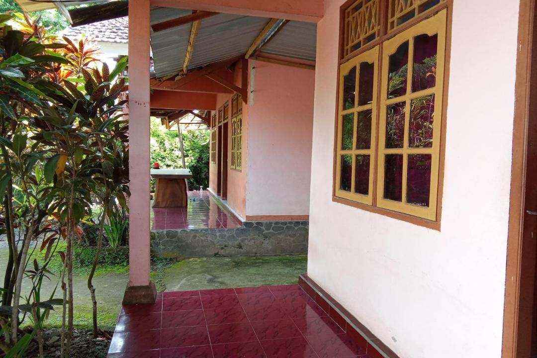 Photo of Others in Kecamatan Montong Gading