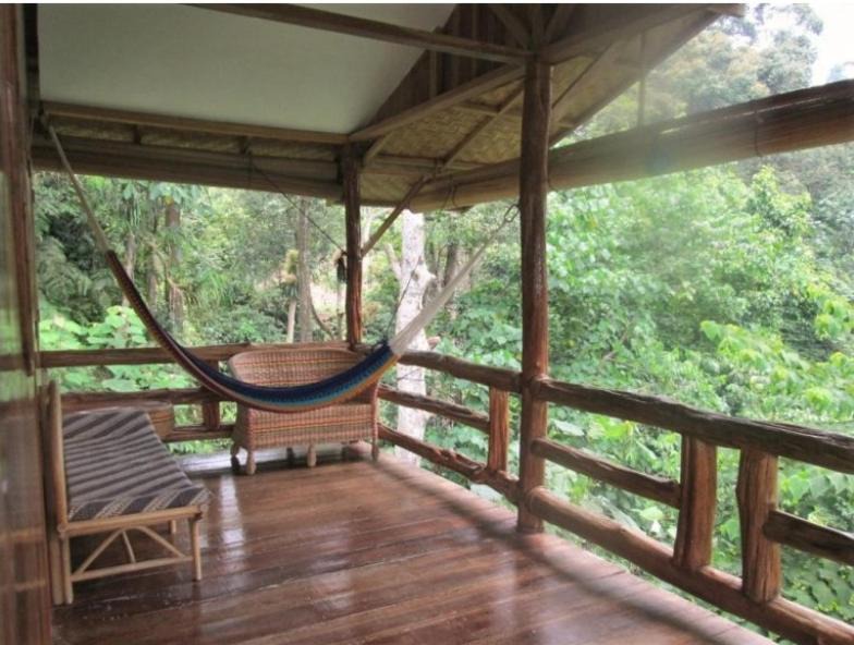 Photo of Others in Bukit Lawang