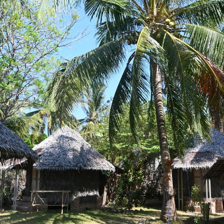 Photo of Others in Karimunjawa Islands