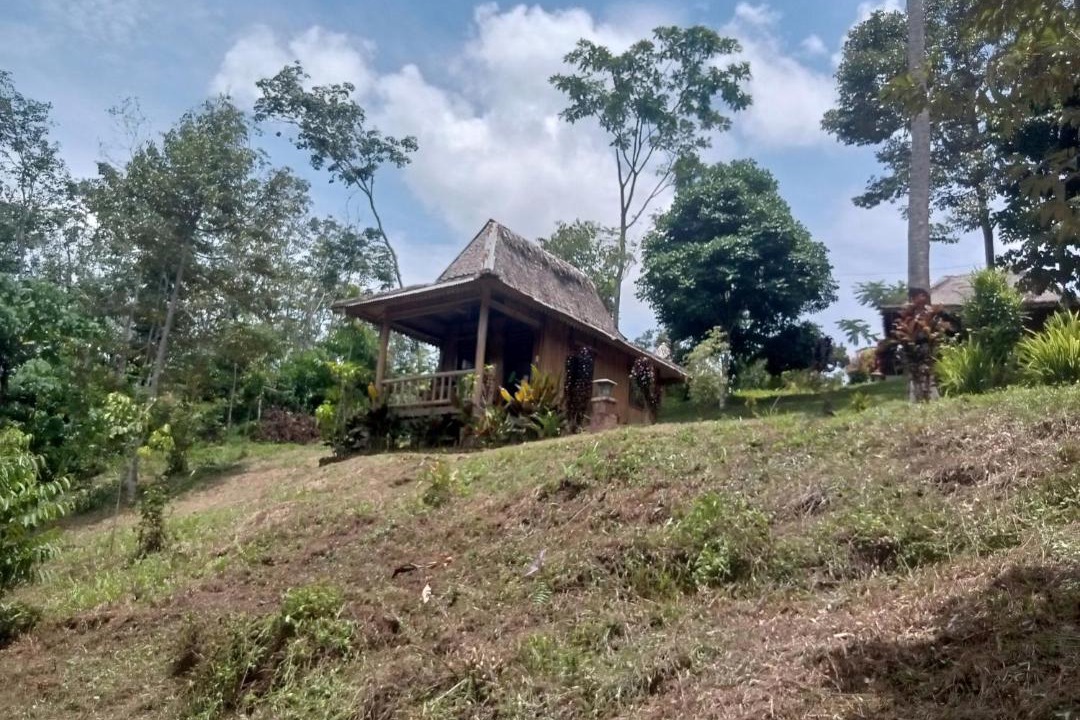 Photo of Others in Bukit Lawang