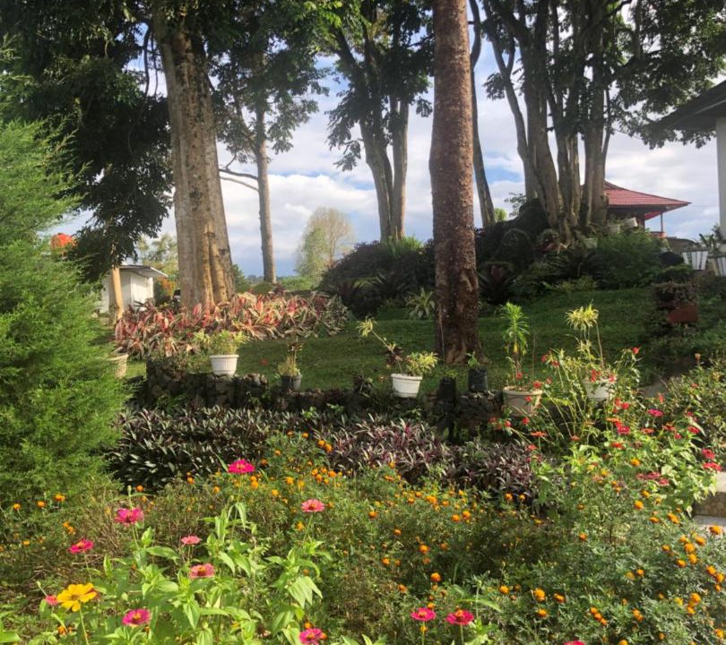 Photo of Others in Tomohon